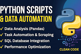 do custom python scripts for data analysis and automation