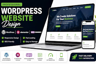 a professional wordpress website, woo commerce store, portfolio