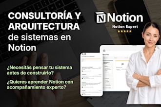 consult on notion systems and business organization