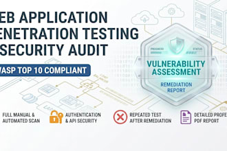perform web application penetration testing and security audit