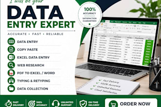 do accurate data entry, copy paste, excel and typingwork
