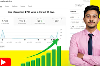 youtube SEO and video optimization for organic growth