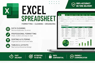 format, clean and organize your excel spreadsheet professionally