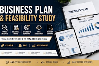 create a business feasibility study and financial model