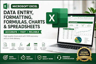 do microsoft excel data entry, formatting and spread sheets