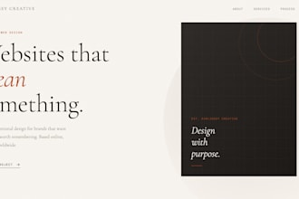build a professional website for anyone