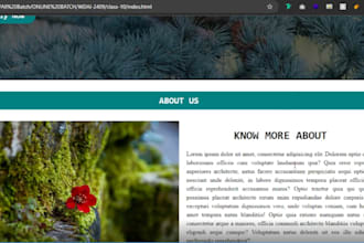 do professional web design and redesign website