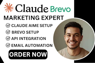 setup claude brevo automation claudeai  brevo workflow setup