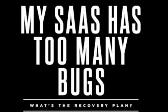 fix bugs and stabilize your saas software application