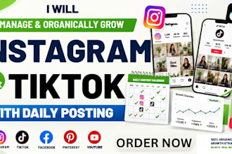 manage and organically grow your instagram and tiktok account with daily posting