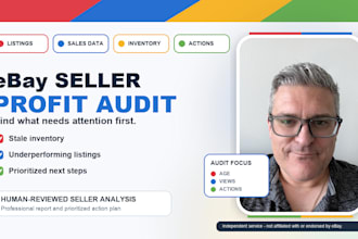 analyze your ebay sales data for profit opportunities