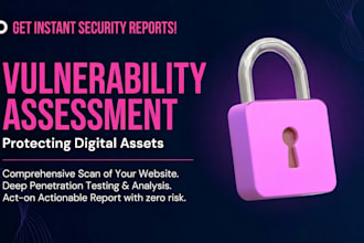 perform website vulnerability assessment and penetration testing