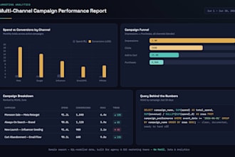 build a campaign performance report or roas tracker