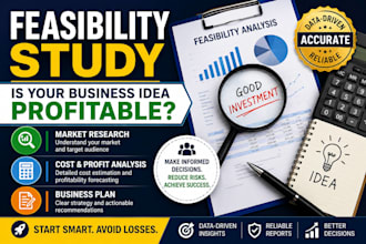 do a professional feasibility study, financial model, and buiness plan analysis