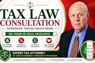 provide professional tax law consultation and legal guidance