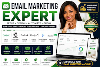 be brevo, mailchimp, flodesk, klaviyo, activecampaign mailerlite expert