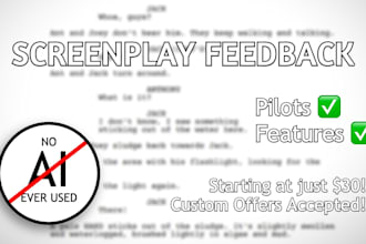 provide feedback and detailed notes on your screenplay