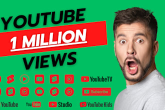 youtube video to 1 million views with advanced google SEO and organic marketing