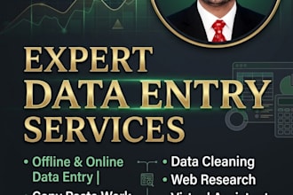 do expert data entry, ms excel, and virtual assistant work