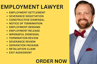 be your ny,ca,florida employment lawyer for severance review and wrongful firing
