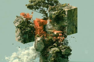 design album cover art