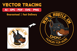 do professional vector tracing and color separation