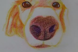 draw realistic pet portraits with colored pencil