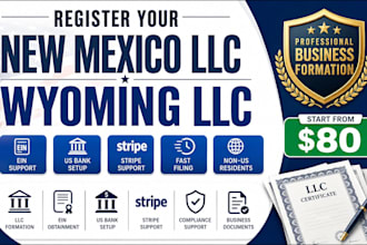 register your new mexico llc wyoming llc , ein, US bank account and stripe setup