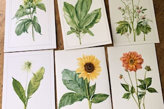 illustrate best botanical illustration