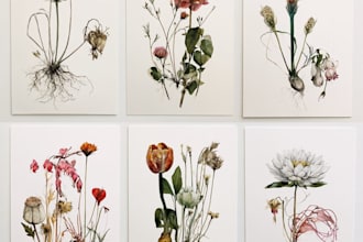 draw botanical watercolor clipart