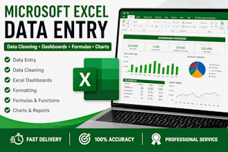 do microsoft ecxel data entry and dashboard reports