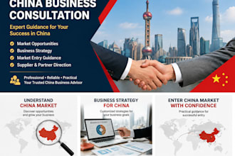 china business consultation and market entry strategy