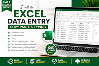 do excel data entry, copy paste, typing and formatting