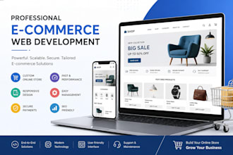 create a professional e commerce website