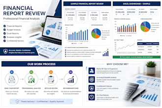 do professional financial analysis, budgeting and accounting
