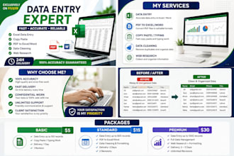 accurate data entry, excel data typing, copy paste
