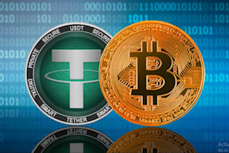 help you set up bitcoin wallet and learn crypto step by step