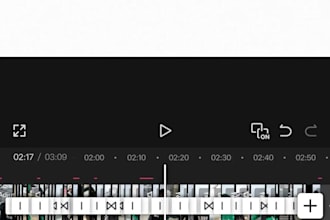 edit your videos professionally and fast