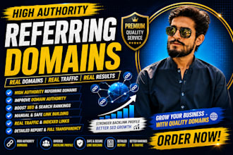 build high quality reffering domains SEO backlinks