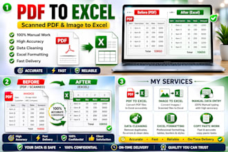 convert pdf, scanned pdf, image to excel manually
