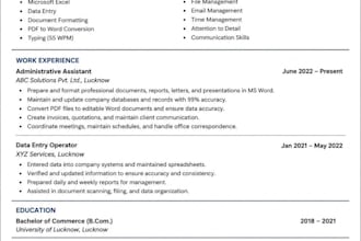 create professional biodata, resume, and CV in ms word