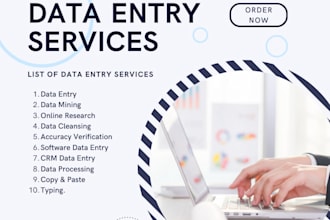 do data entry, copy paste, pdf to excel , email scrapping