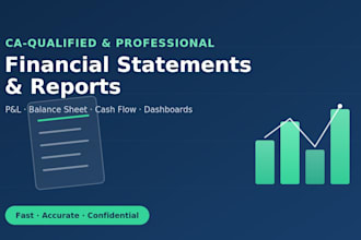 prepare professional financial statements and management reports