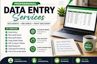 do accurate data entry ,microsoft excel and word tasks