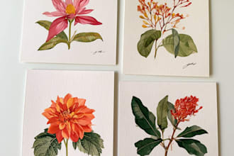 illustrate best botanical illustration