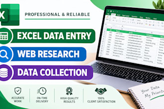 do excel data entry, web research and data collection