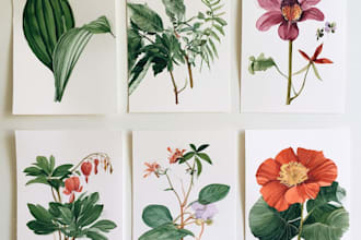draw botanical watercolor clipart
