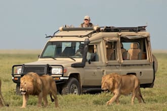 create professional travel itineraries and tour packages