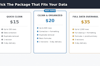 do fast, accurate data entry and excel cleanup