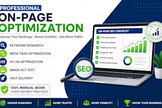 perform a professional website audit and optimize on page SEO